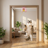 Interactive door yo-yo cat toy with self-play