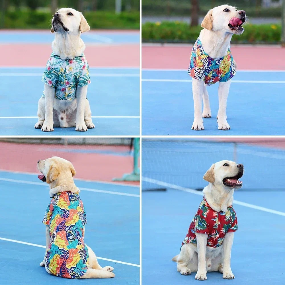 Hawaiian shirt for dogs