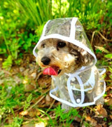 ClearRain transparent waterproof dog raincoat