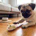 Interactive hamster indoor dog toy
