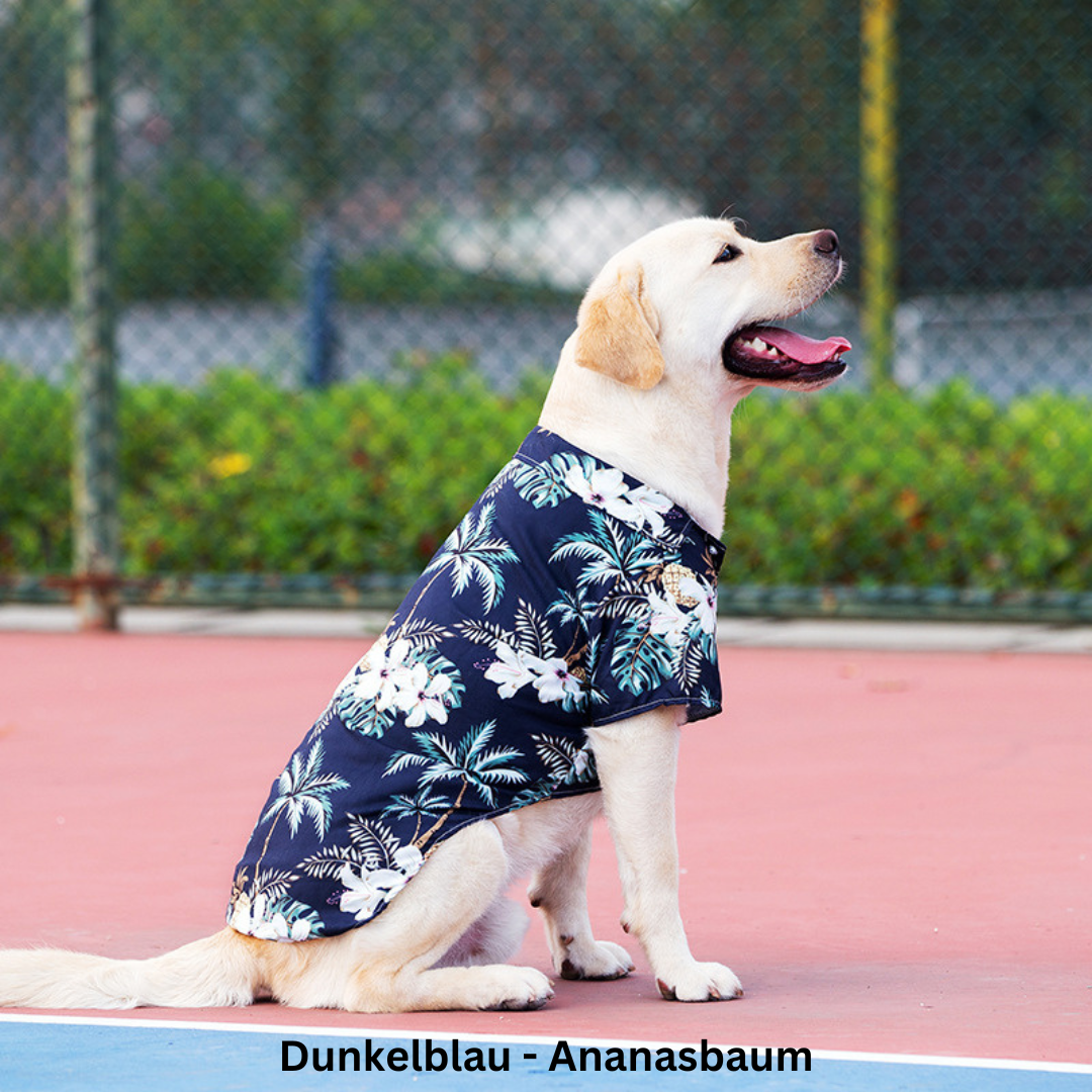 Dog Hawaiian shirt shown from the back