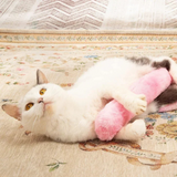 Catnip kicker pillow cat toy