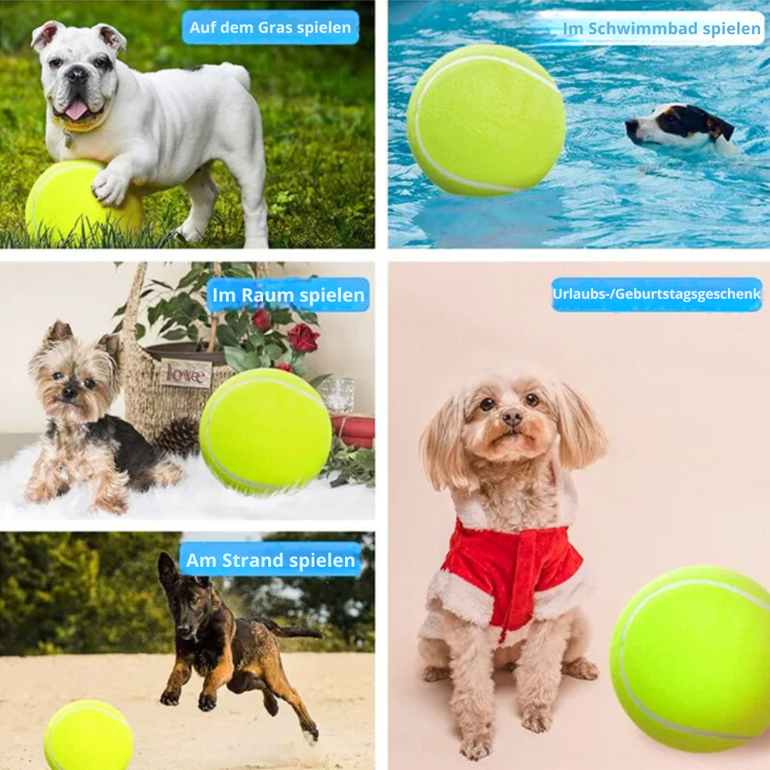 Giant tennis ball with air pump