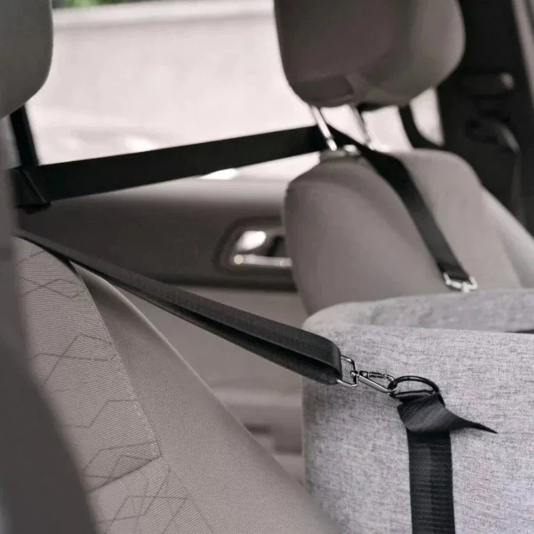 Soft padding inside the PawJourney pet car seat