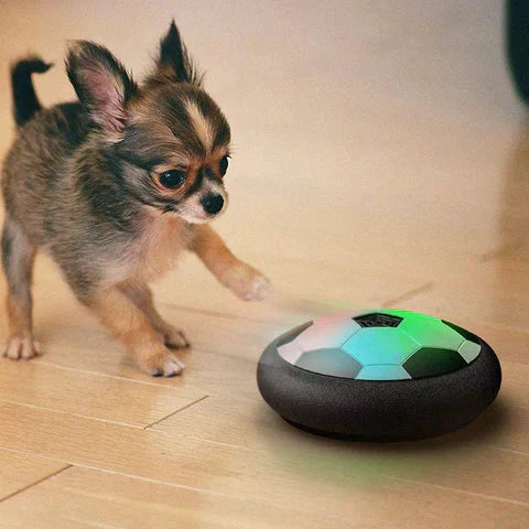 KickFetch Pro interactive football toy for dogs