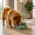 Automatic large-capacity pet water dispenser for cats and dogs