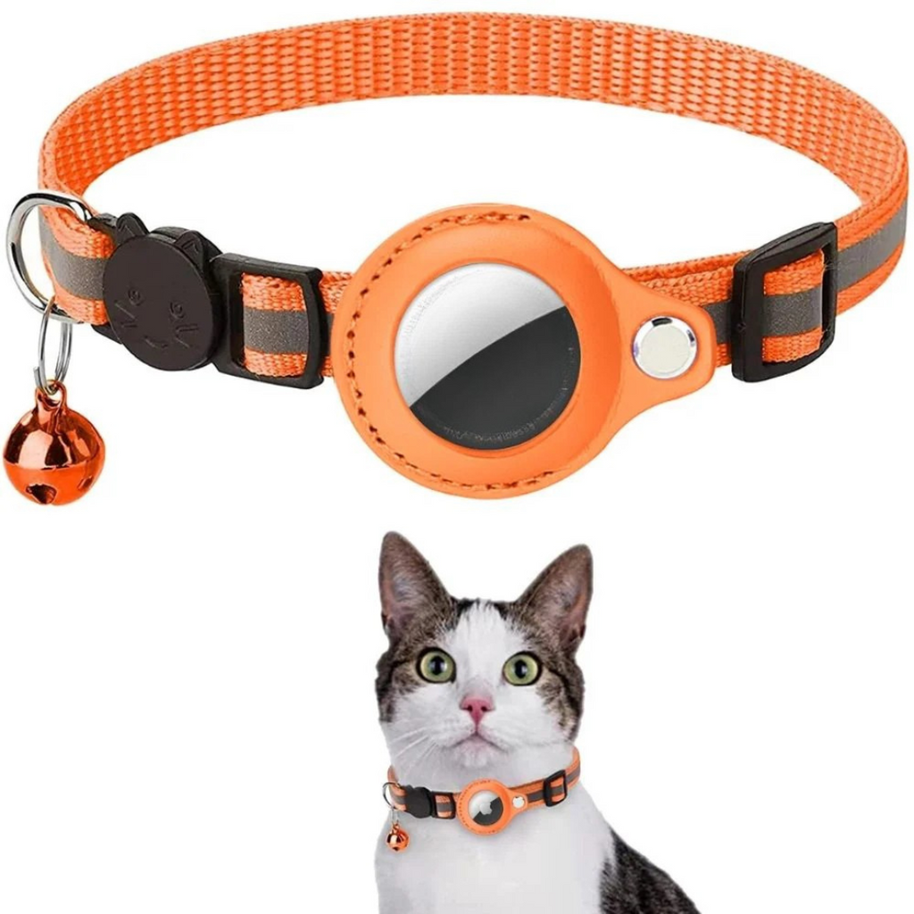 Reflective stitching on the Milo cat collar at night