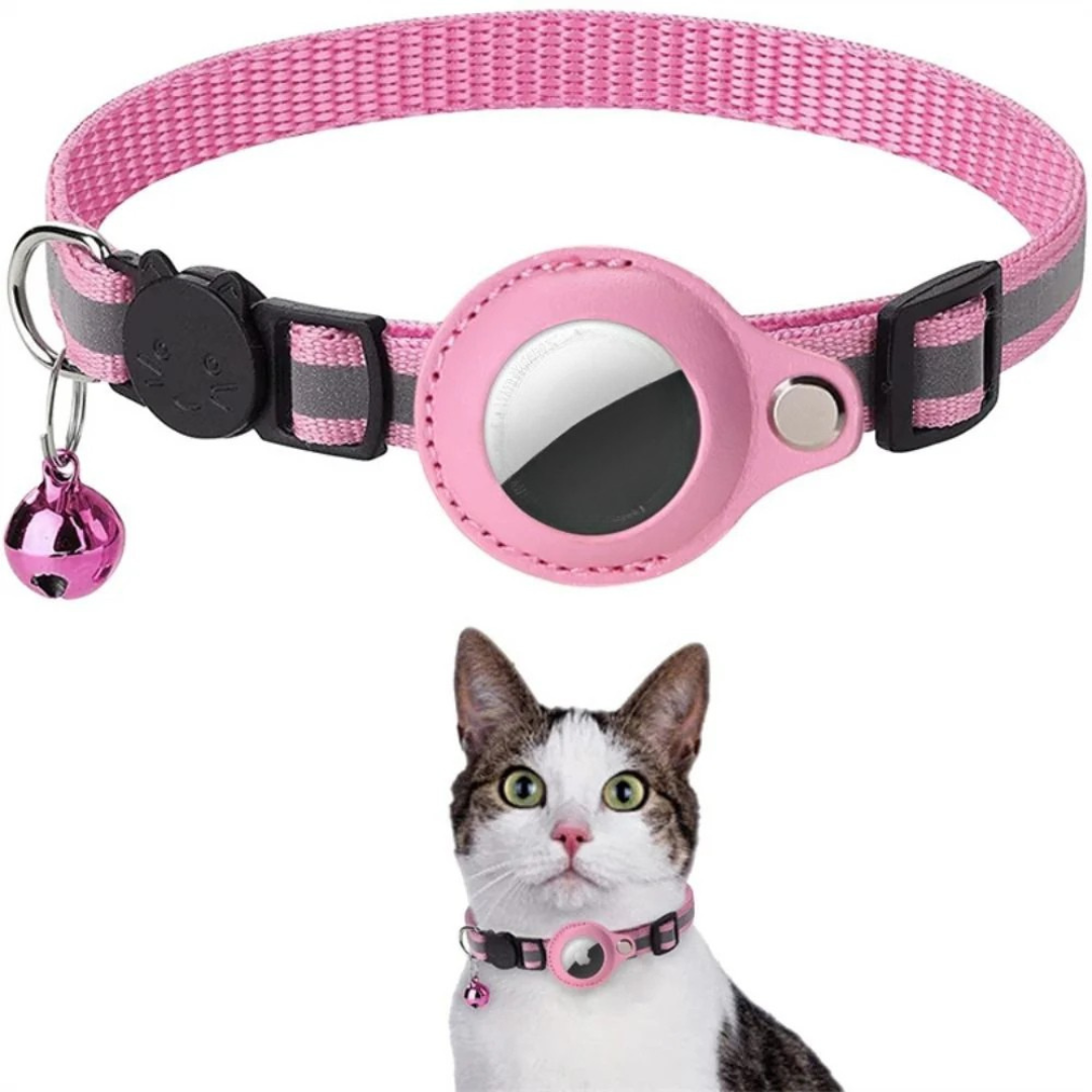 Cat wearing the Milo collar with bell