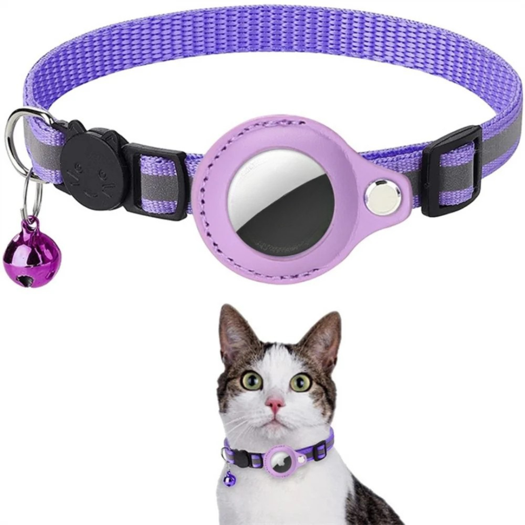 Milo cat collar with GPS tracker fitted