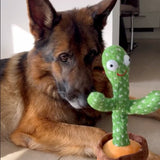 Talking cactus interactive dog toy