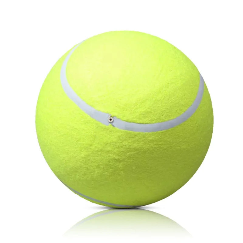 Dog pushing the giant tennis ball