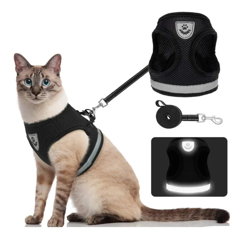 ExplorerKit cat harness and lead