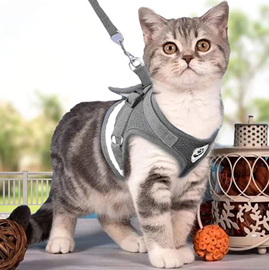 ExplorerKit escape-resistant cat harness