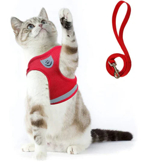 ExplorerKit cat harness and lead colours