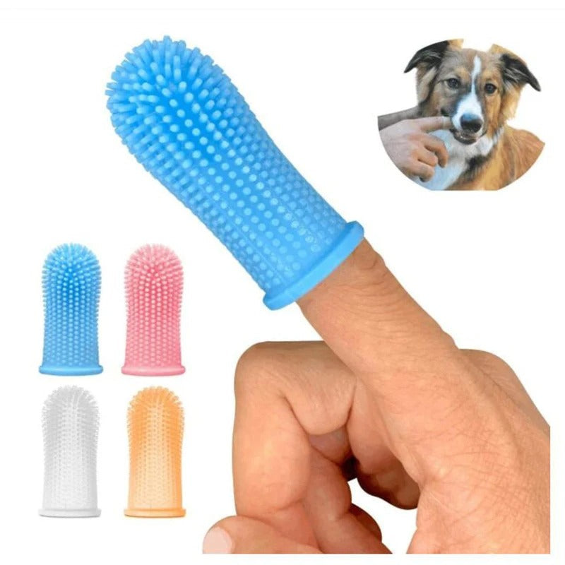 Brushing a dog's teeth with the finger toothbrush