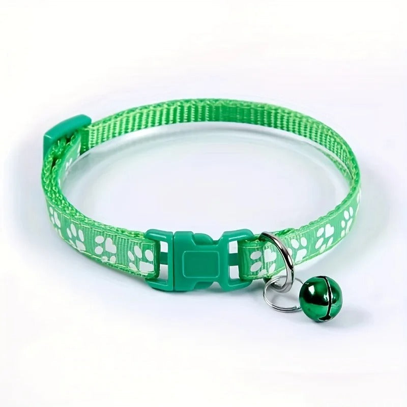Fashion cat collar in orange