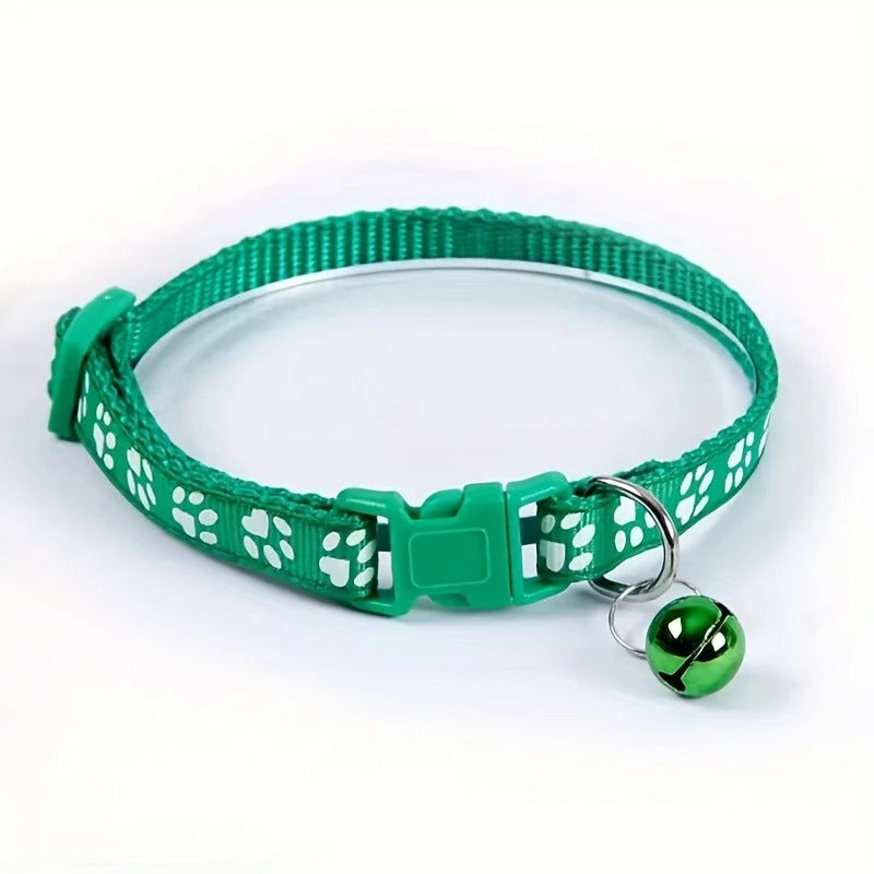 Cat wearing the fashion collar