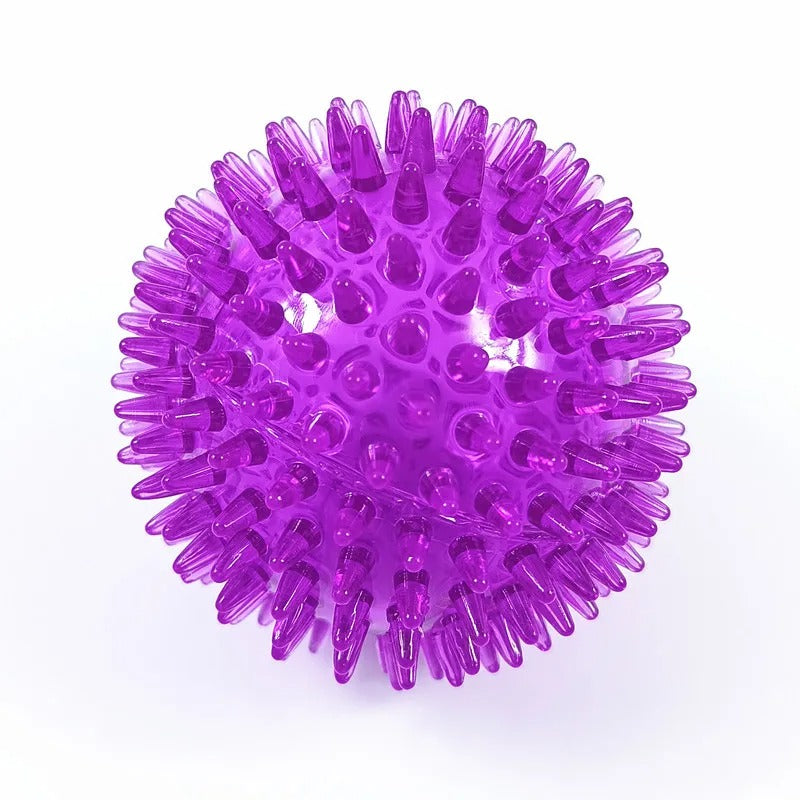 Spiky ball chew toy in purple
