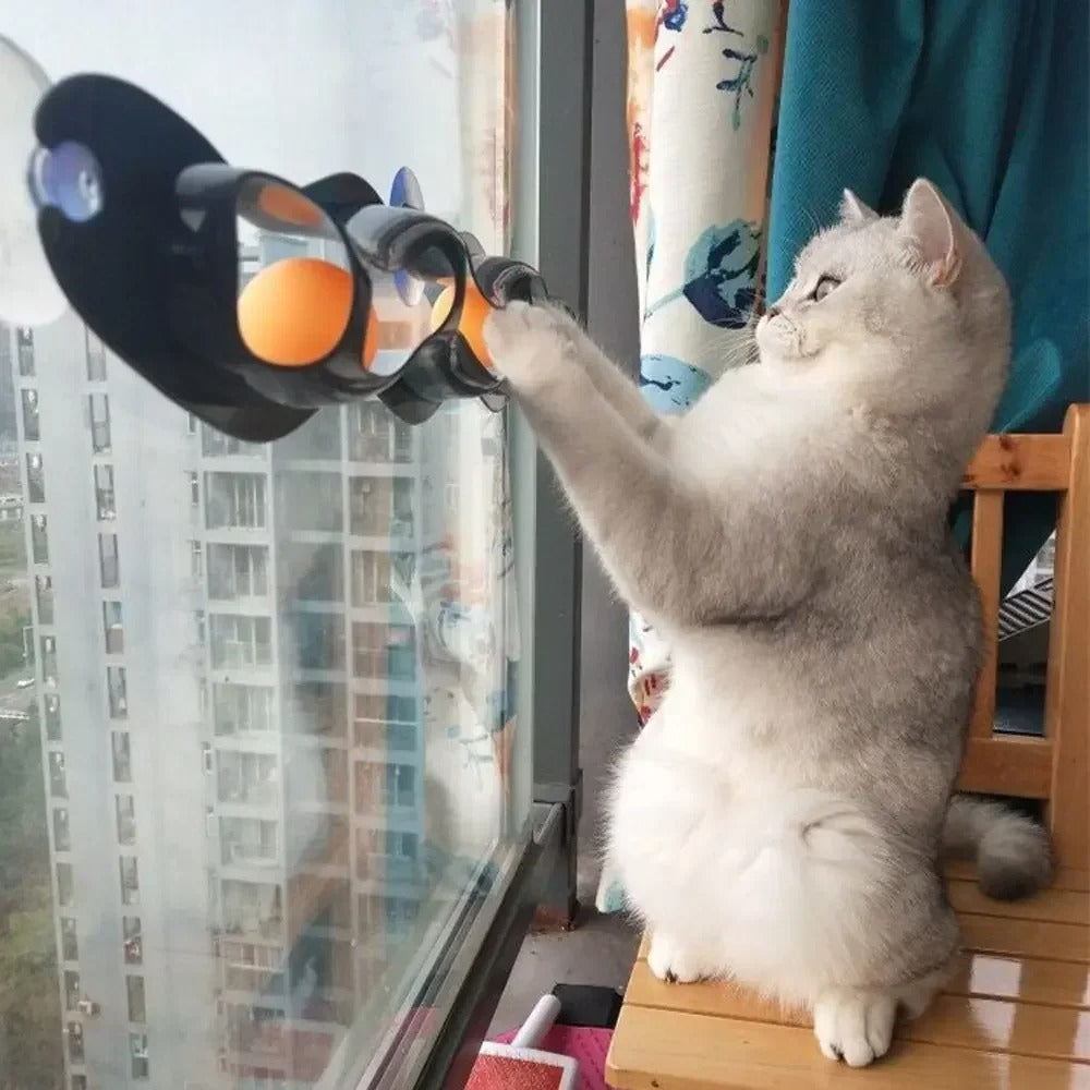 Window ping pong cat toy with suction cup