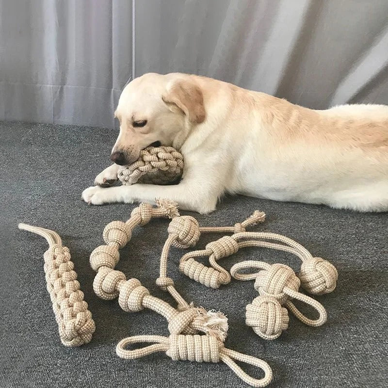 Close-up of the rope knots on the dental toy
