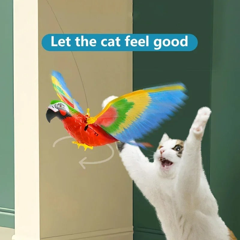Cat leaping at the flying bird toy