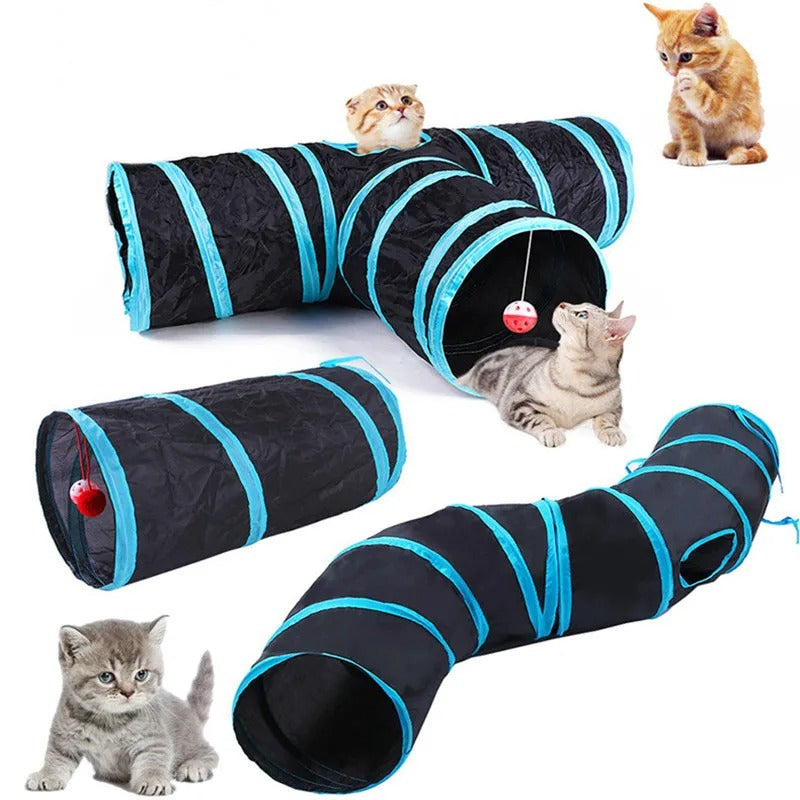 Cat playing inside the foldable tunnel