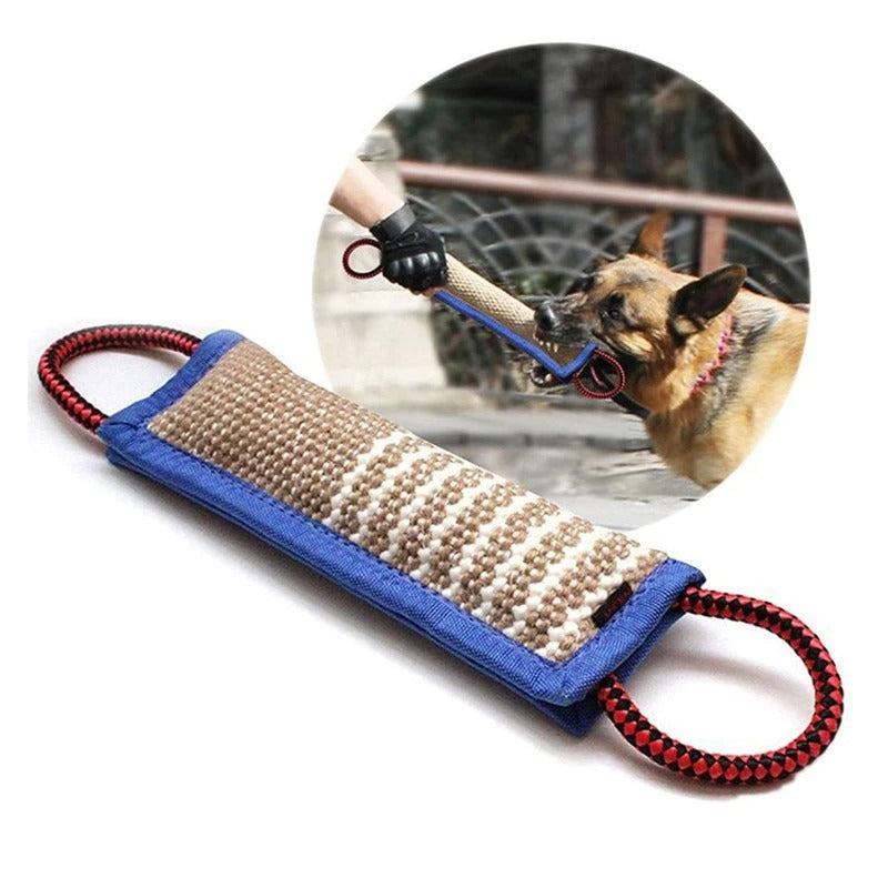 Dog chewing a natural chew stick