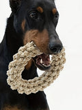 Durable cotton rope dog toy