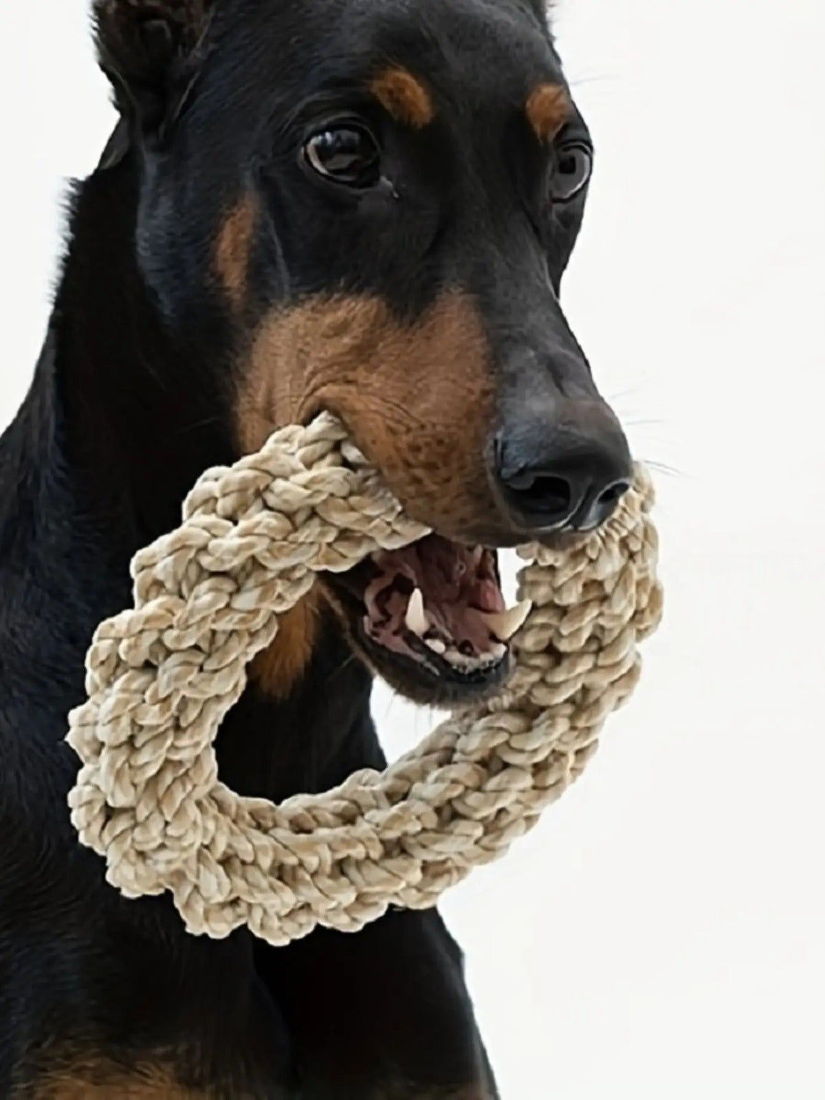 Durable cotton rope dog toy