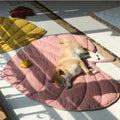 ChillPaw cooling mat in multiple sizes