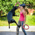 Floating water dog training ring