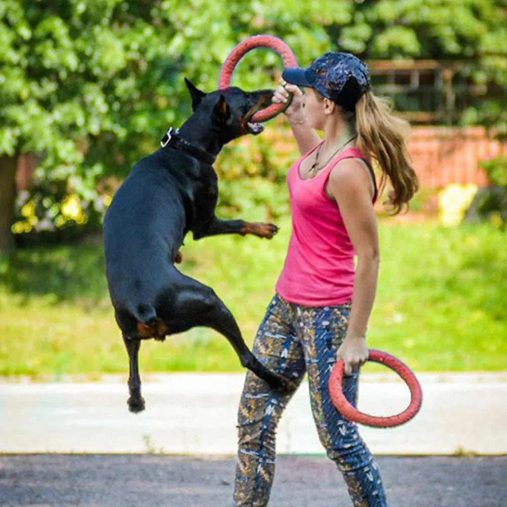 Floating water dog training ring