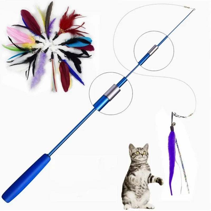 Cat swiping at the feather teaser wand
