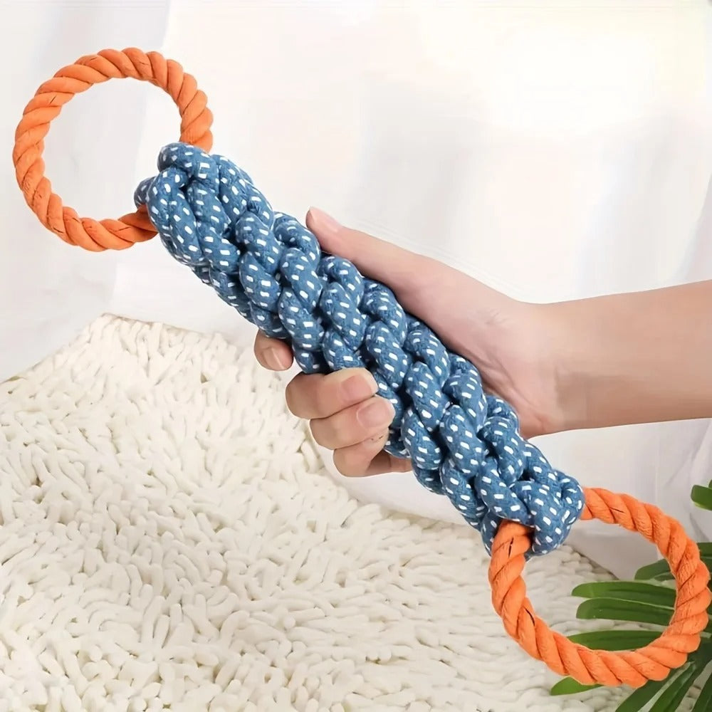 Two people playing tug with a dog and rope toy