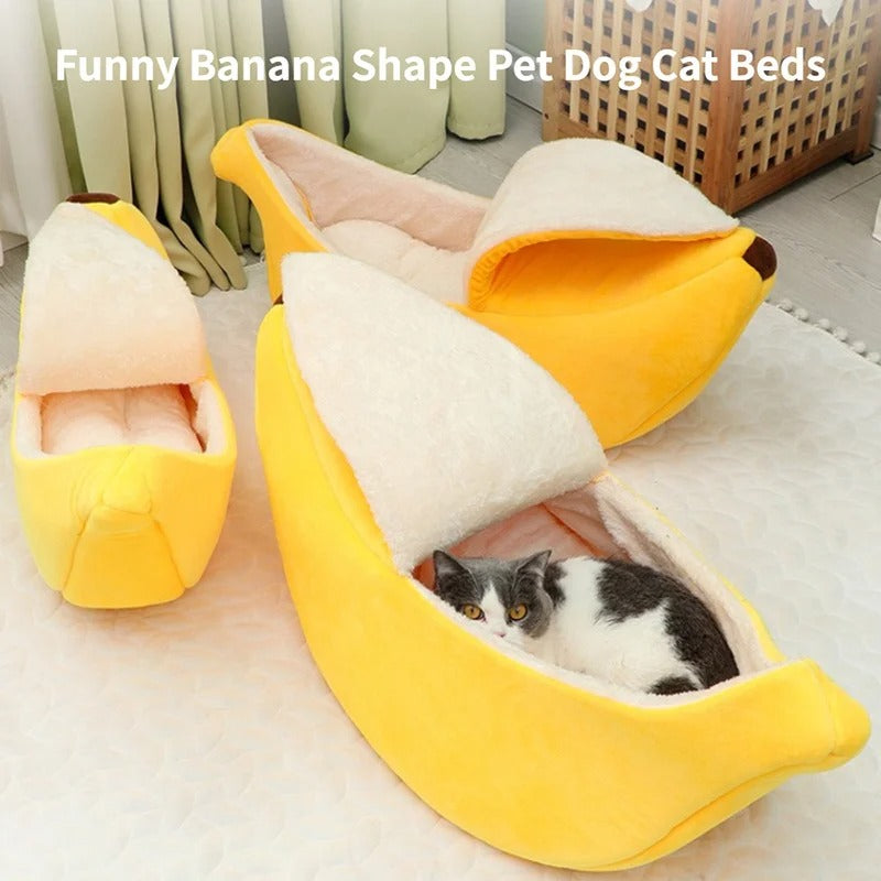 Cat curled up in the banana cat bed