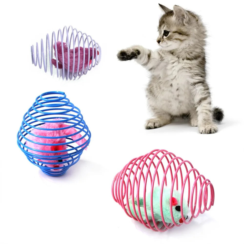 Hidden caged rat inside the stretchy cat ball