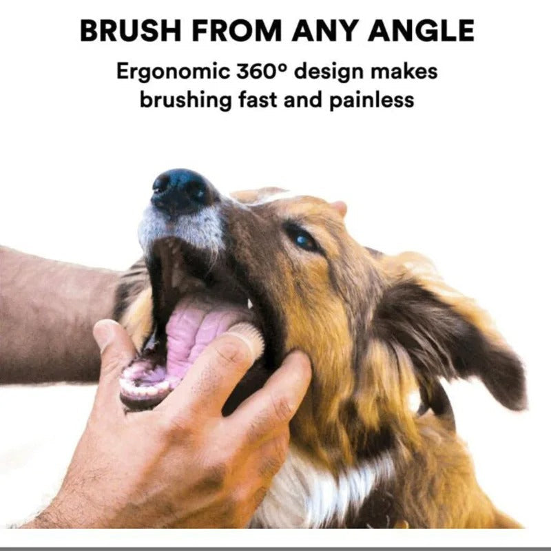 Gentle finger toothbrush for dogs
