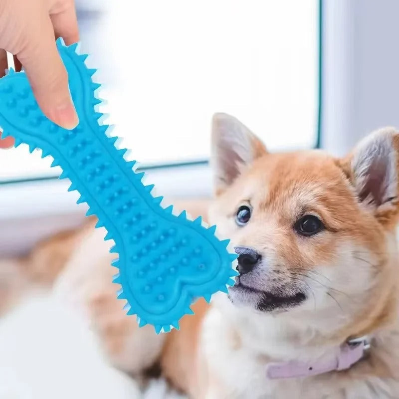 Small dog playing with the rubber bone toy