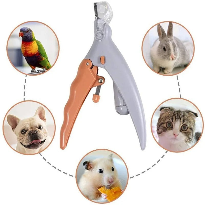 PawPerfect pet nail scissors with packaging