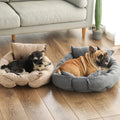 PawHaven dog mat