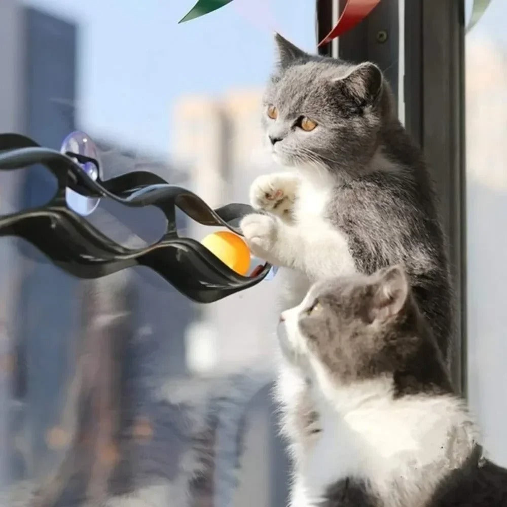 Cat batting the ball on the window ping pong toy