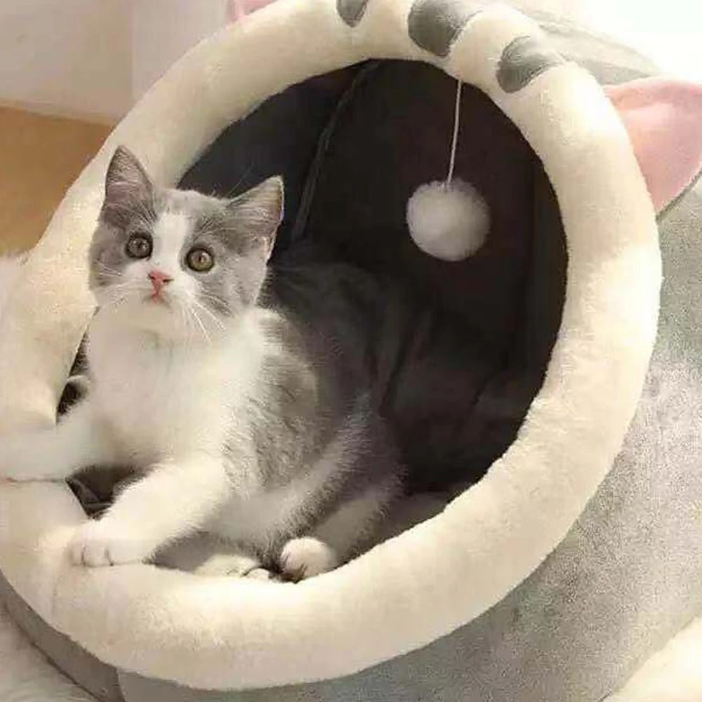 Cat sleeping in the CuddleCat nest