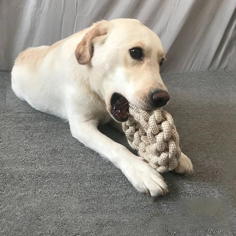 Dental knot rope dog toy