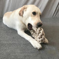 Dental knot rope dog toy