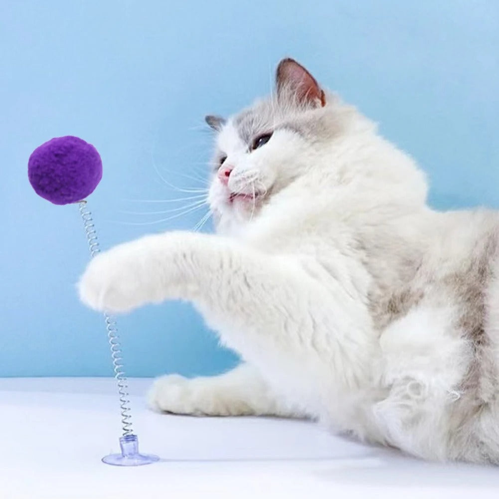 Bouncing spring cat wand toy with suction base