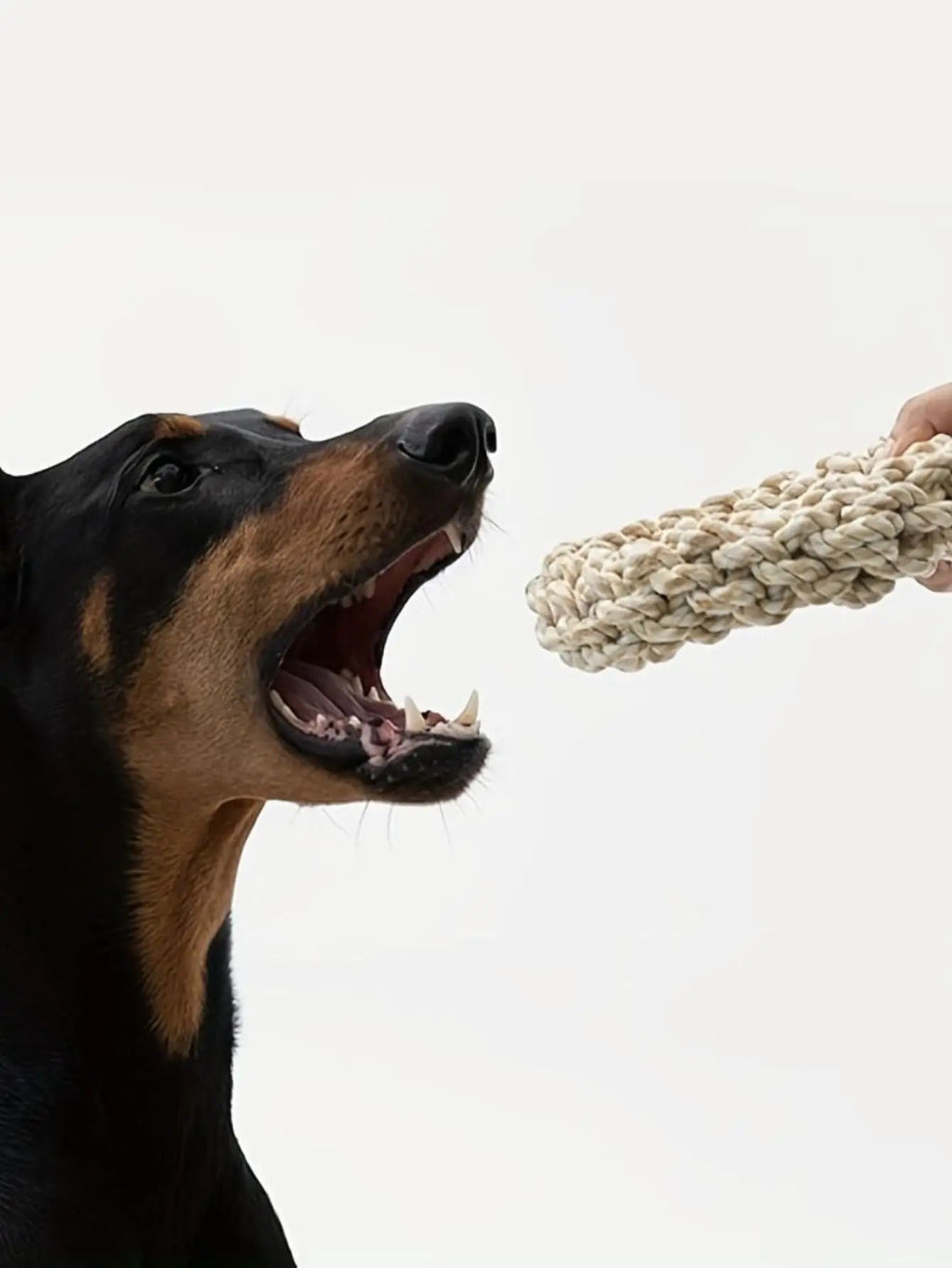 Durable cotton rope dog toy dimensions