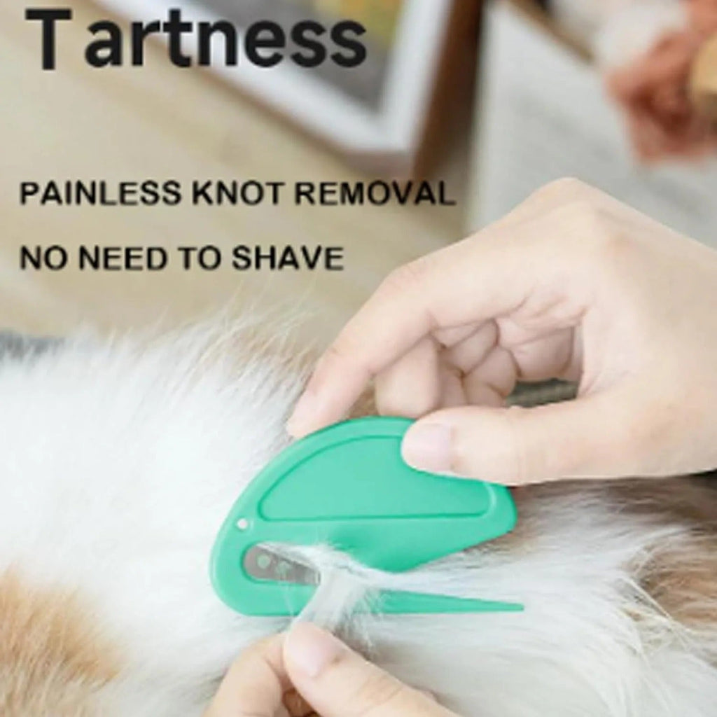 Grooming a long-haired cat with the dematting tool