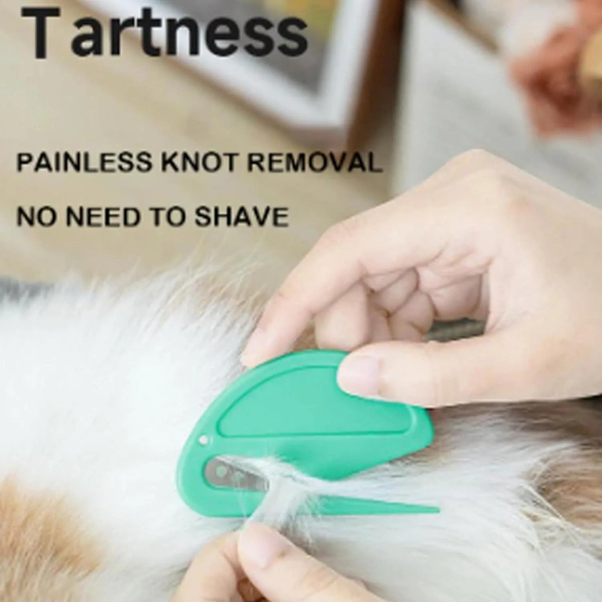 Grooming a long-haired cat with the dematting tool