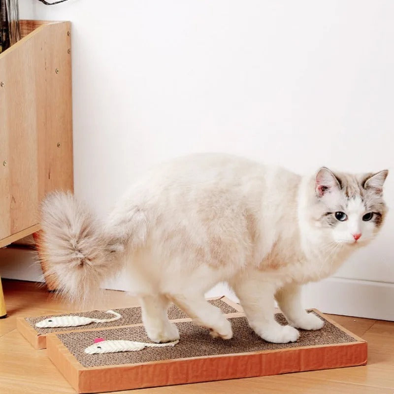 Cat scratching the cardboard mat