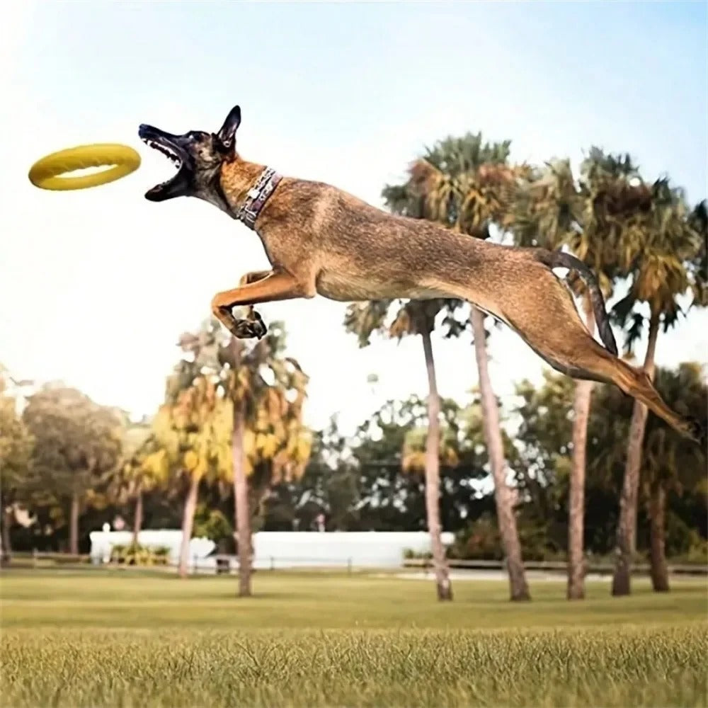 Flying disc training ring puller for dogs